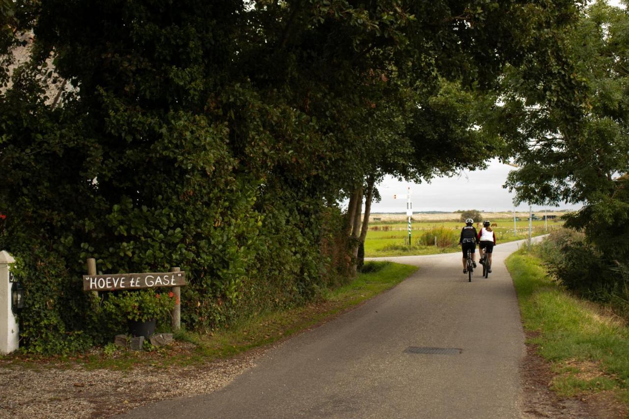 Hoeve Te Gast - Vakantieboerderij Groet Eksteriør billede