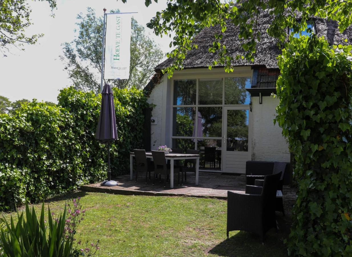 Hoeve Te Gast - Vakantieboerderij Groet Eksteriør billede